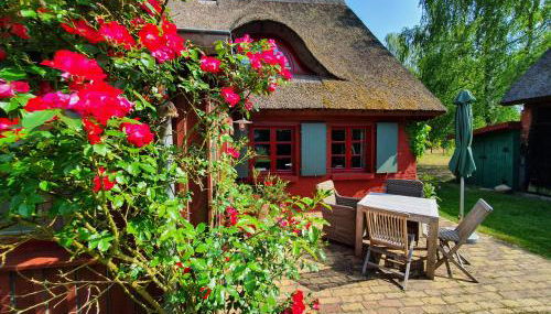 Pommernhaus Urgemütlicher Roter Schwede - Foto 4