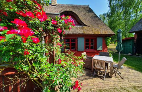 Pommernhaus Urgemütlicher Roter Schwede - Foto 4