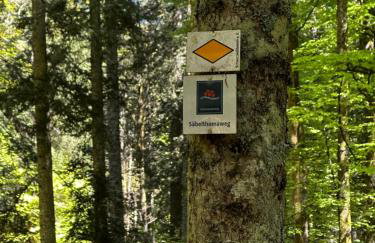 HAUS AM SEE - Natur Pur - Foto 6