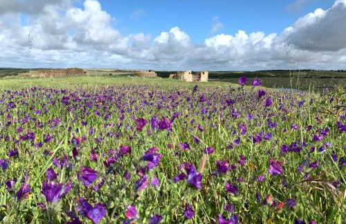 Solar da Cavalariça - Foto 27