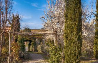 Agriturismo Cignale della Società Agricola Cignale srl - Foto 69