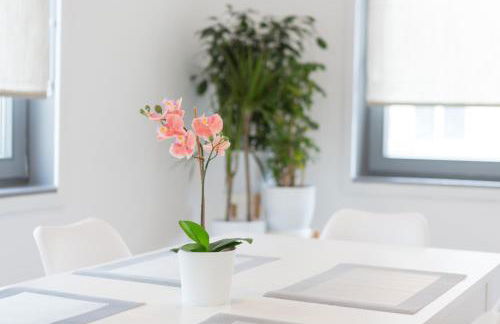 Altstadt Apartments - Foto 25