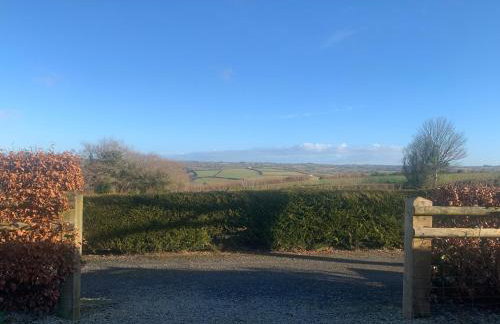 Field View - Foto 26