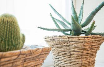 Gästehaus Herb - Photo 10