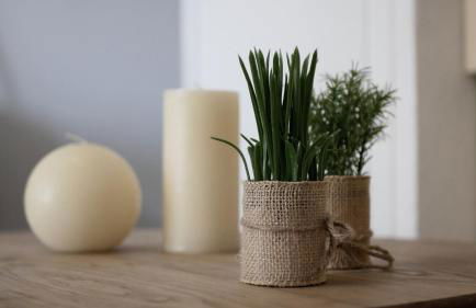 Capstay studio avec grande terrasse proche aéroport Bastia - Lucciana - Centre - Foto 36