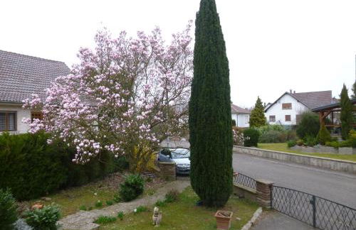 Jardin Fleuri - Foto 3