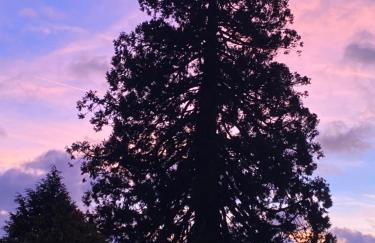 Cosy Er Lann Gîte Séquoïa - Foto 38