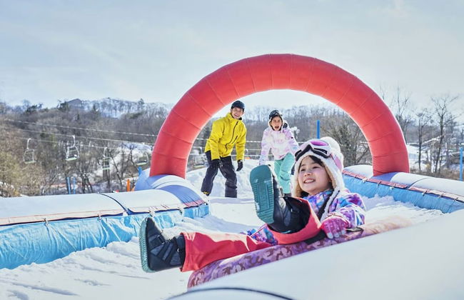 The Prince Villa Karuizawa - Foto 55