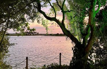 Chácara Adelly - Foto 31