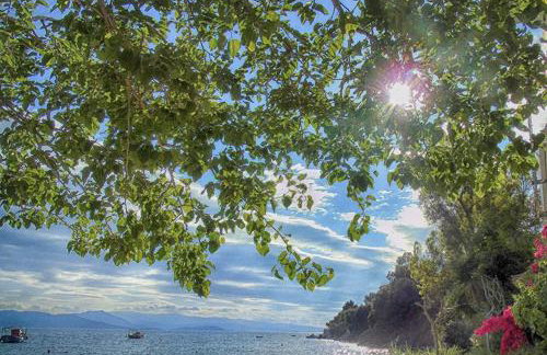 HORTO HOUSE - Foto 2