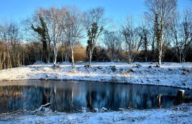 Ferienwohnung Ostseefeuer - Foto 75