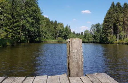 Ferienwohnungen Marienweiher - Foto 32