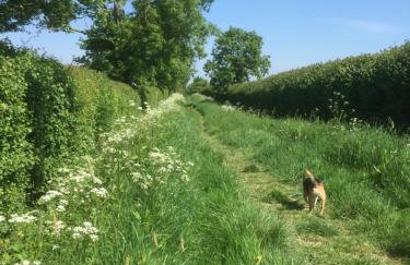 The Long Barn - Foto 27