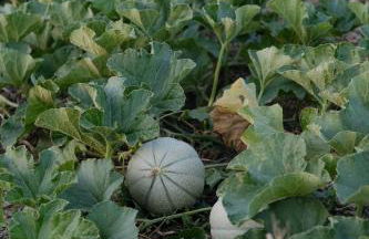 VIN Hotel - Wine Resort and Agriturismo Montieri - Photo 58