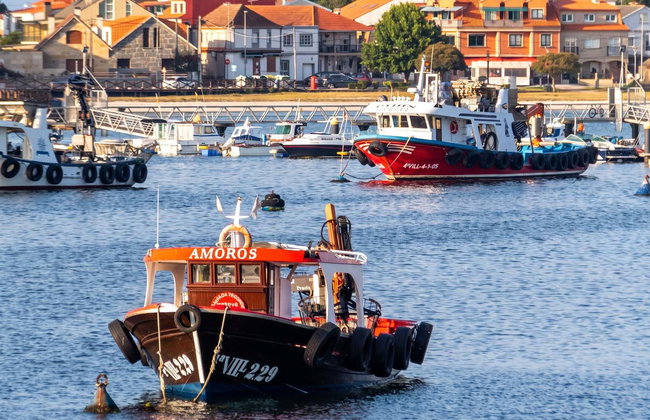Excursión a las Rías Baixas + Visita a una bodega - Foto 8