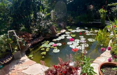 Pension mit Moselblick - Foto 52