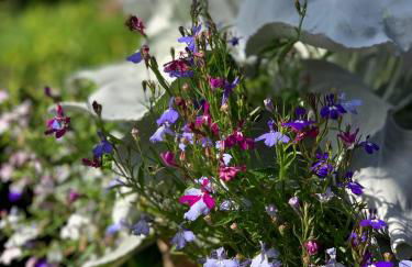 Cosy Studio with a field view - Foto 28