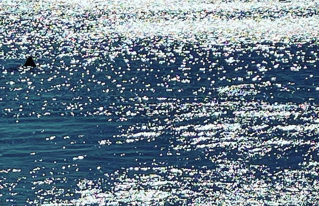 Areia Beach - Pozos Colorados - Santa Marta - Colombia - Foto 38