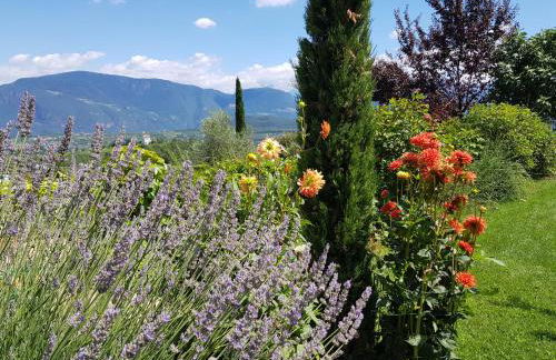 DAS MATSCHER Residence & Garden Hotel - Foto 44