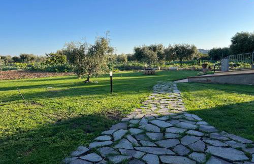 Agriturismo Il Giardino Degli Olivi Appartamenti - Photo 4