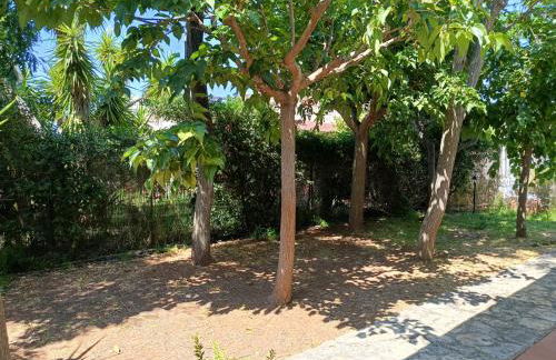 Villa Indipendente Torre Inserraglio - Salento - Foto 13