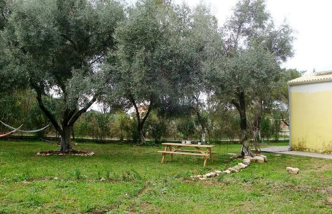 Cute Yellow Handmade House With Garden - Foto 64