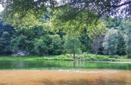 SMARAGD RIVER near Rastoke & Plitvice Lakes - Foto 53