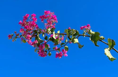 Club Salino 18 - Foto 14