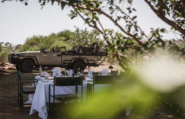 Euphorbia Mashatu - Foto 26