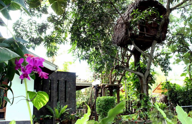 Villa Shade - Photo 53