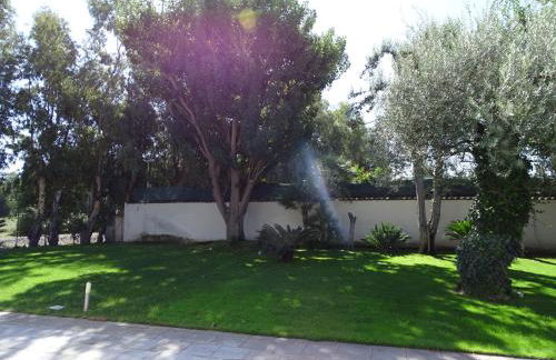 La casetta al maneggio - Foto 15