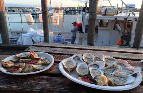 Cape Escape Chatham 5 Star Beach Chic 5 Min Walk to Beach-Newly Renovated Private Retreat AC - Foto 35