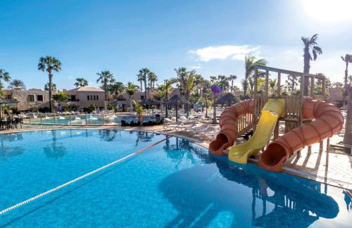 Playa y Palmera - Photo 8