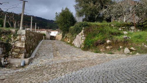 O Cantinho das Lages - Foto 4