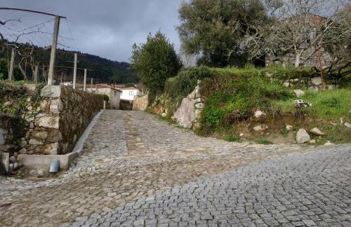 O Cantinho das Lages - Foto 4