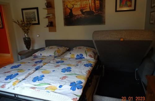 Ferienwohnung am Dorfpark - Foto 8