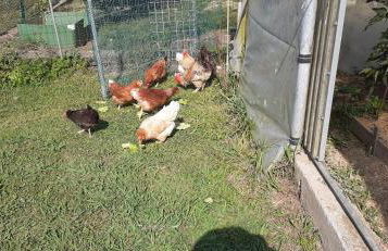 Alojamiento en CHIHUAHUA ETXEA - Foto 34