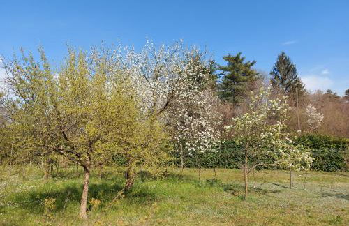 Milano Country Club - Villa with private pool and garden - Foto 46