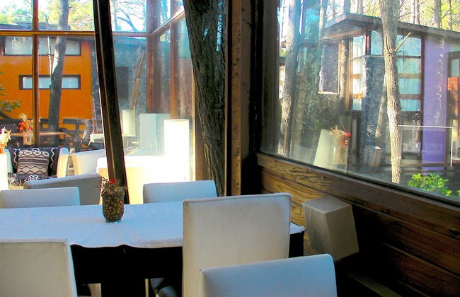 Altos Medanos - Cabañas y Club de Bosque - Foto 27