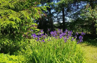 Dom na Warmii -Siedlisko Jabłonka - Foto 52
