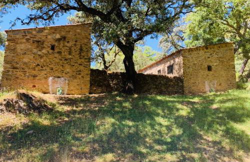 Nature Space Jabugo - Foto 7