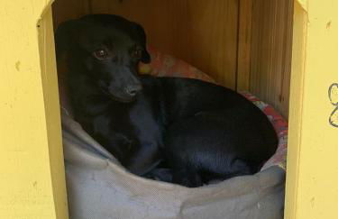 Recanto Nativos - Foto 6