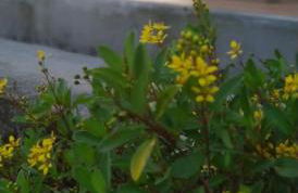 Chalé Pôr do Sol - Photo 4