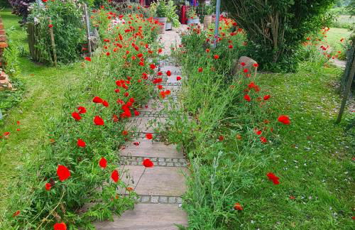 Haus Rosengarten- Ruhige Ferienwohnungen im Grünen - Foto 65