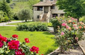 Agriturismo Poggio del Bolognino - Foto 9