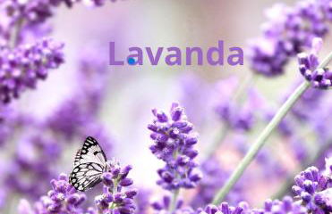 Agriturismo Terre Rosse Portofino - Foto 1