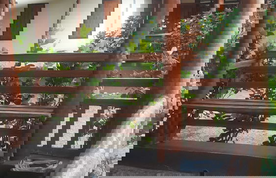 Ramidahost2 - Photo 9