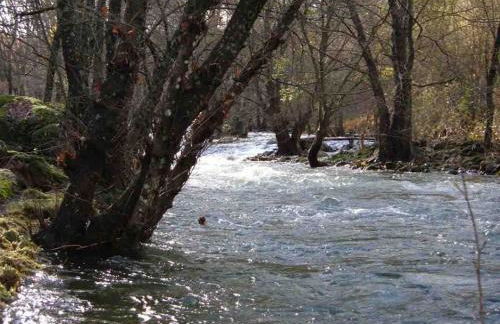 Apartamentos Rurales La Oropendola - Foto 20