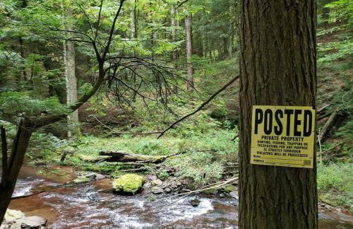 Pleasant Brook Cottage - Foto 16