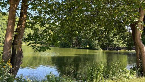 Familijny domek nad jeziorem - Foto 4